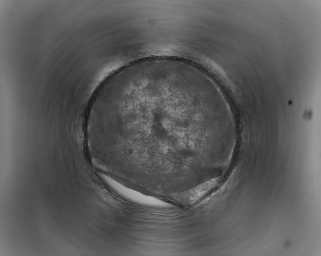 X0000101091218200807101541