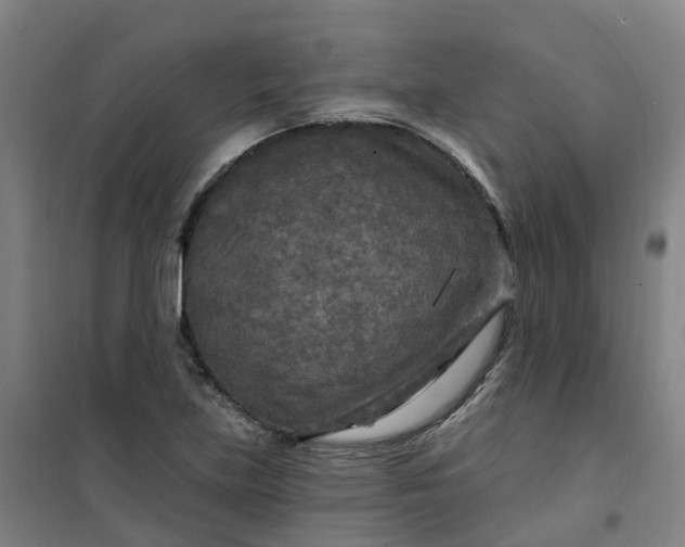 X0000101091219200807101541