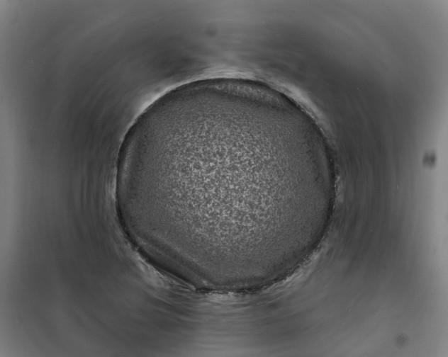 X0000101091220200807101541