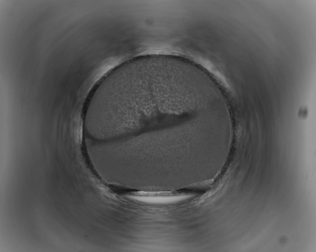 X0000101091221200807101541