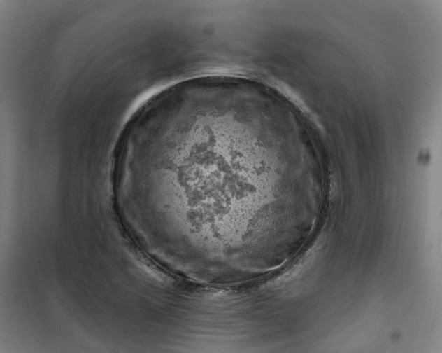 X0000101091222200807101541