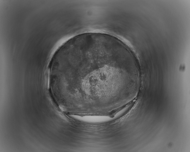 X0000101091223200807101541