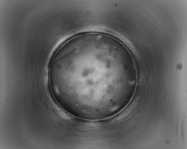 X0000101091224200807101541