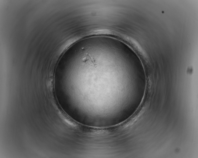 X0000101091225200807101541