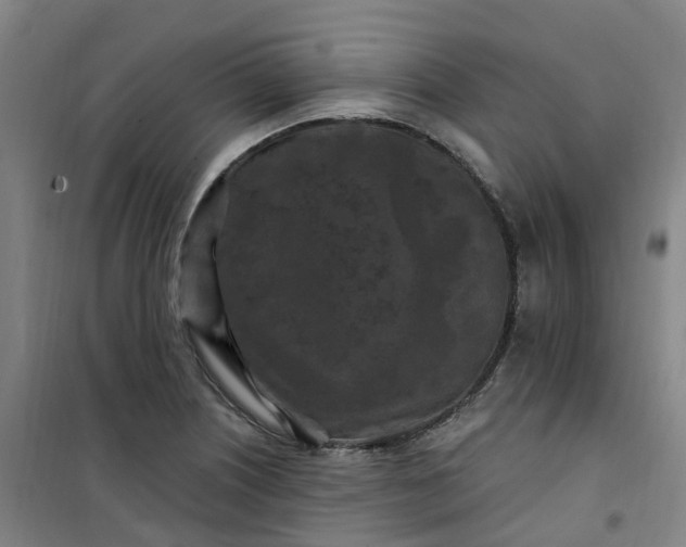 X0000101091226200807101541