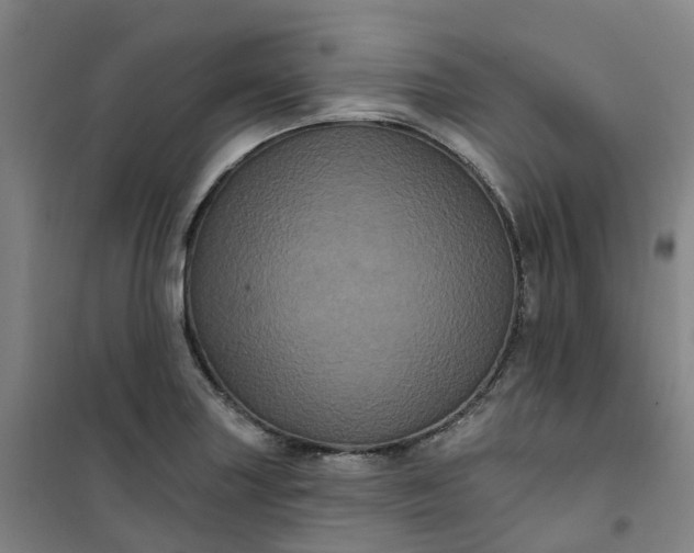 X0000101091227200807101541