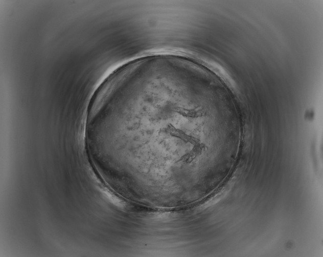 X0000101091228200807101541