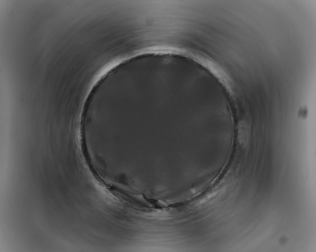 X0000101091229200807101541