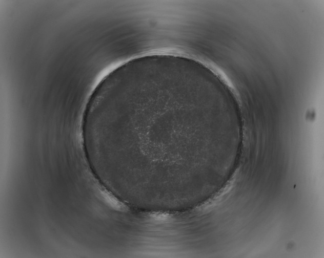 X0000101091230200807101541