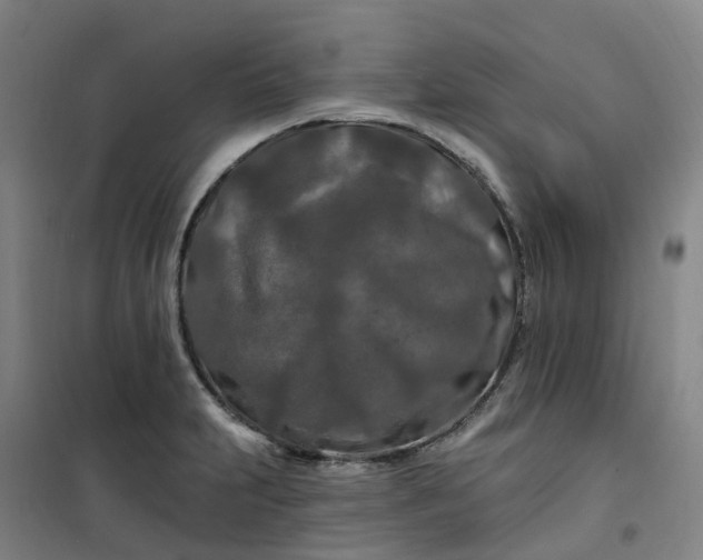 X0000101091231200807101541