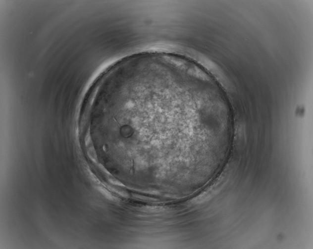 X0000101091232200807101541