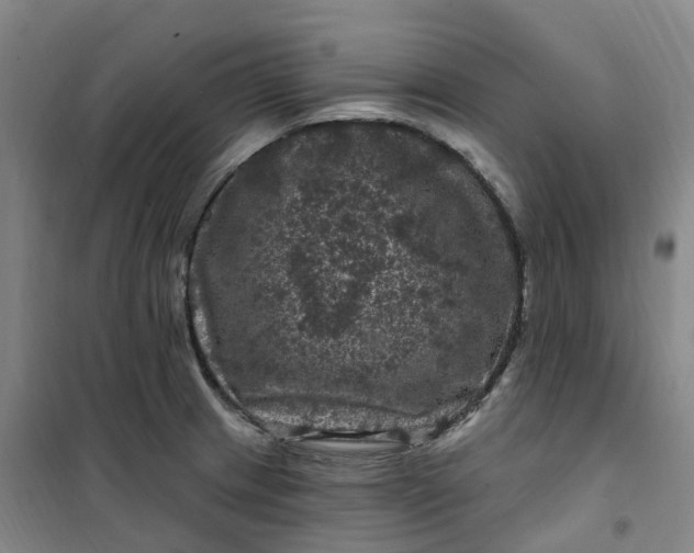 X0000101091233200807101541