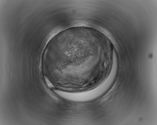 X0000101091234200807101541