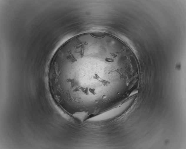 X0000101091235200807101541