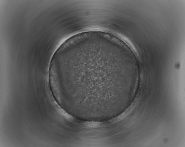 X0000101091236200807101541