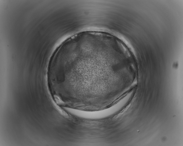 X0000101091237200807101541