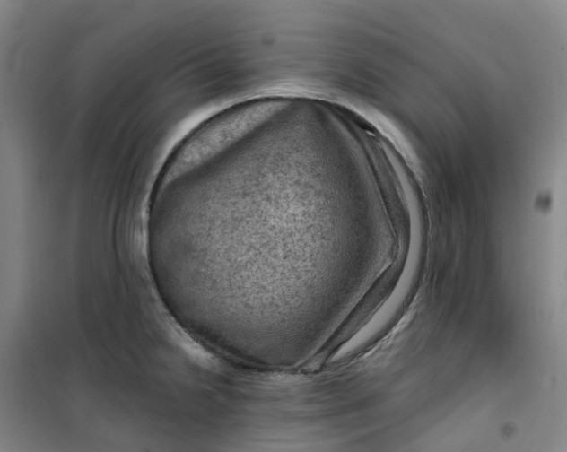 X0000101091238200807101541