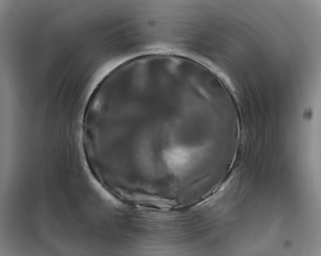 X0000101091239200807101541