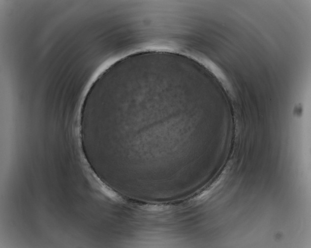 X0000101091240200807101541