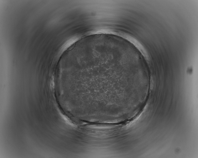 X0000101091241200807101541