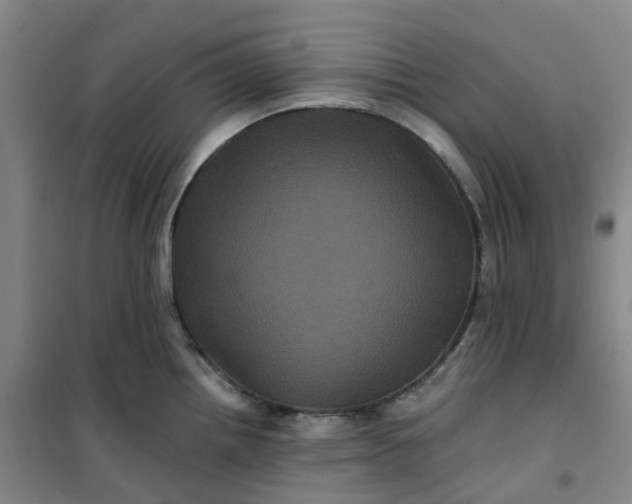 X0000101091242200807101541