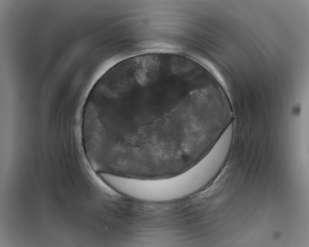 X0000101091243200807101541