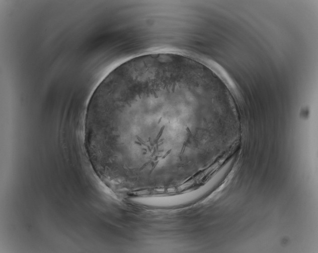 X0000101091244200807101541