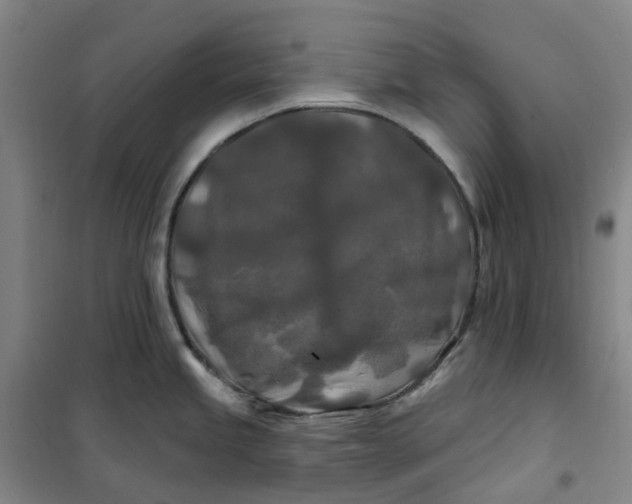 X0000101091245200807101541