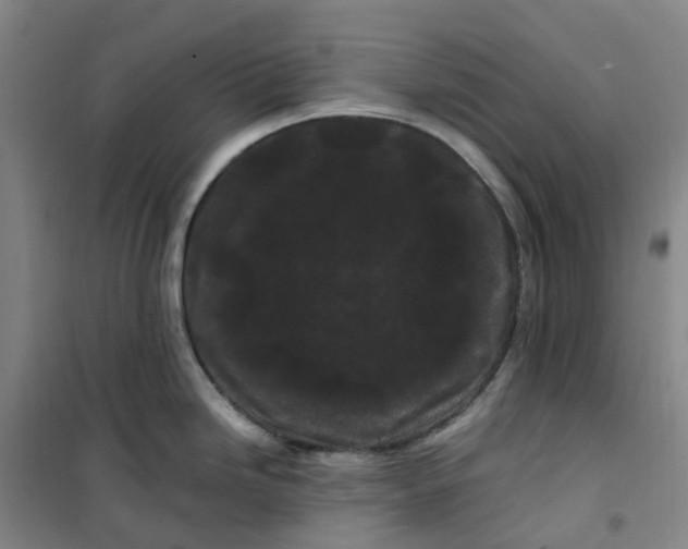 X0000101091246200807101541