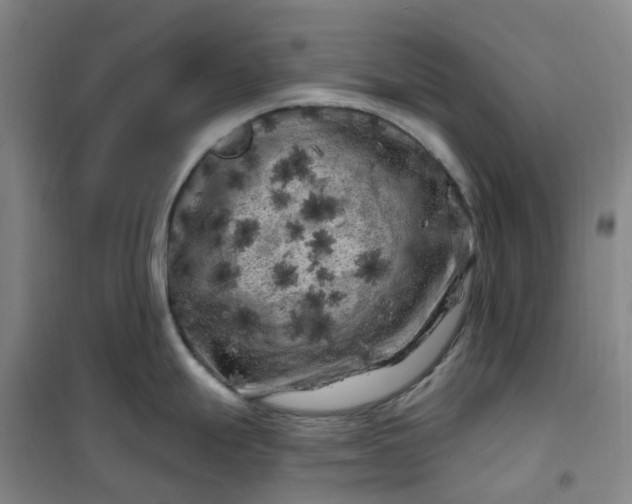 X0000101091247200807101541