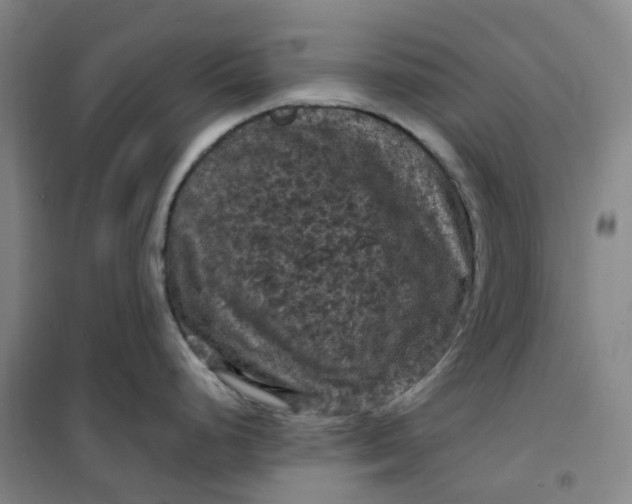 X0000101091248200807101541