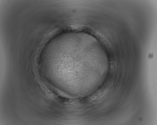 X0000101091249200807101540