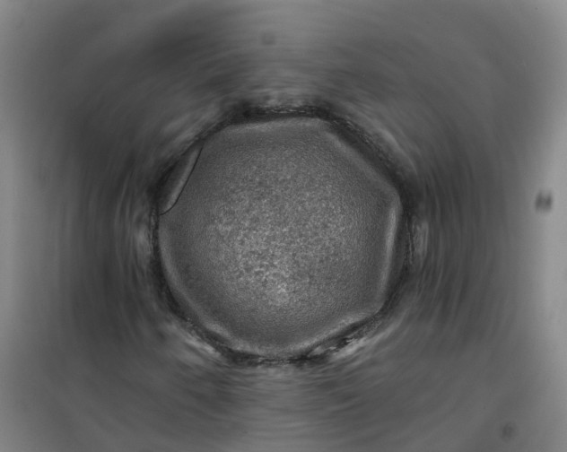 X0000101091250200807101540