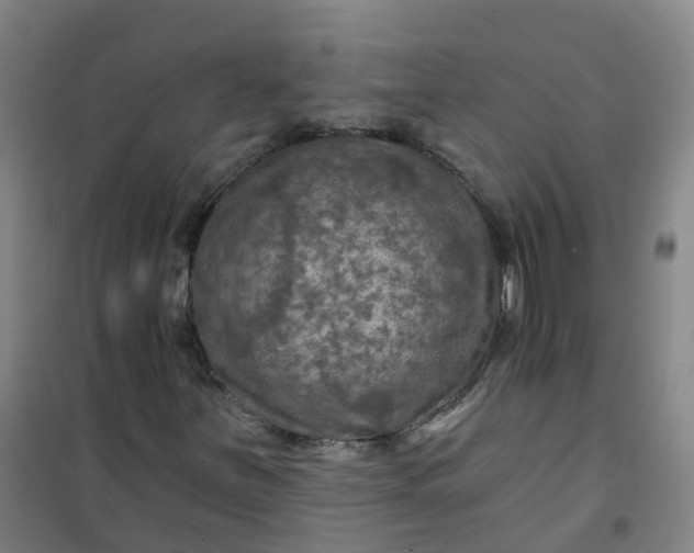 X0000101091251200807101540