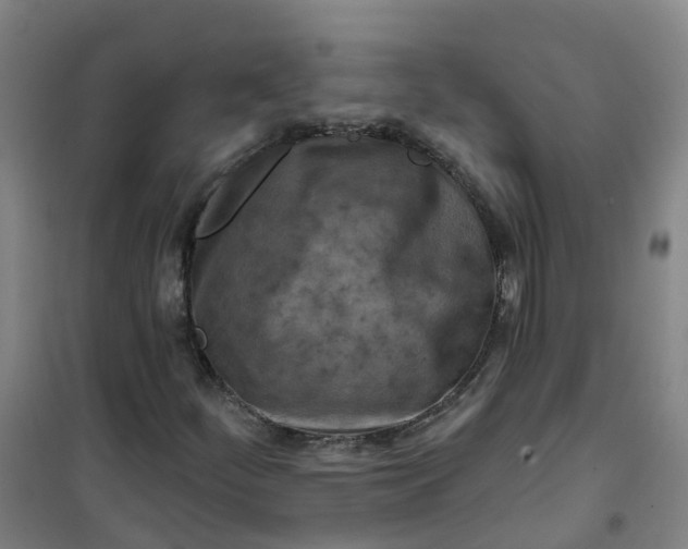 X0000101091252200807101540