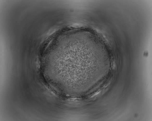 X0000101091253200807101540