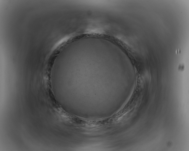 X0000101091254200807101540