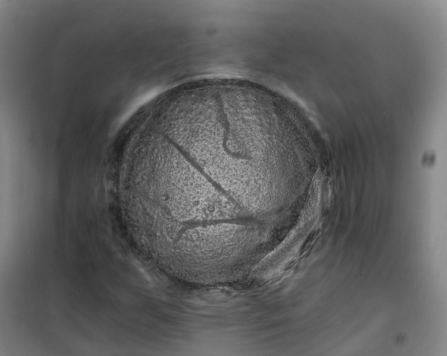 X0000101091255200807101540