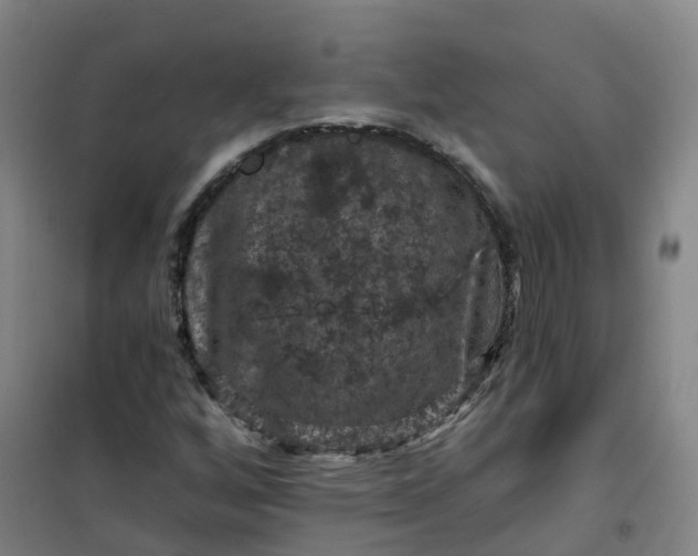 X0000101091256200807101540