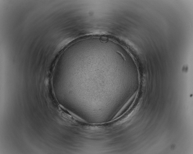 X0000101091257200807101540