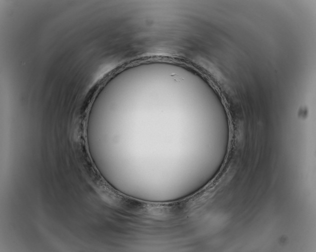 X0000101091258200807101540