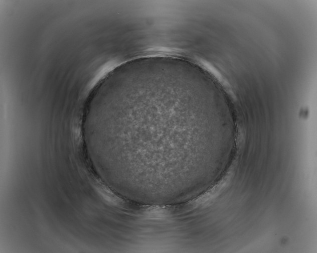 X0000101091259200807101540