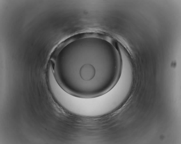 X0000101091260200807101540