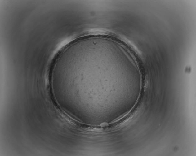 X0000101091261200807101540