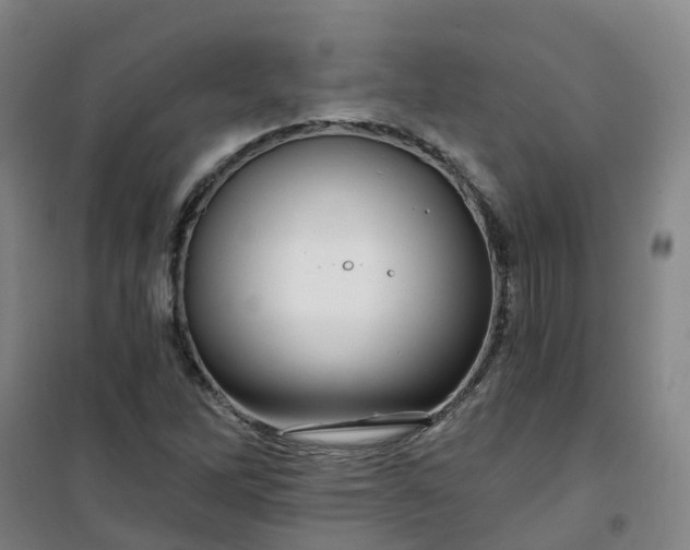 X0000101091262200807101540