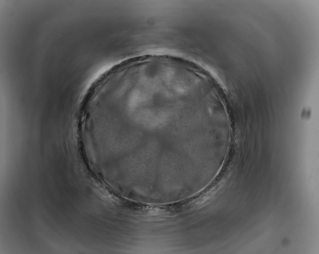 X0000101091263200807101540