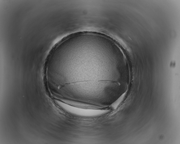 X0000101091264200807101540