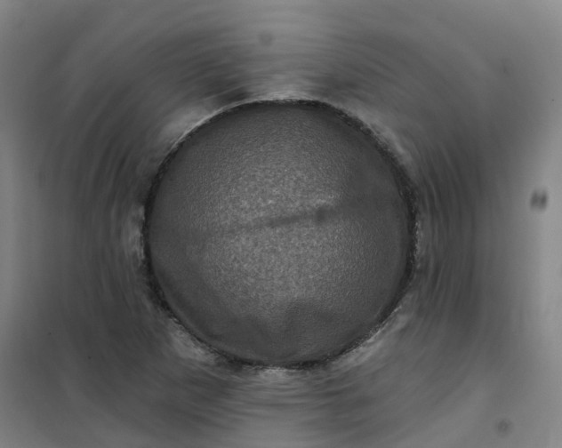 X0000101091265200807101540