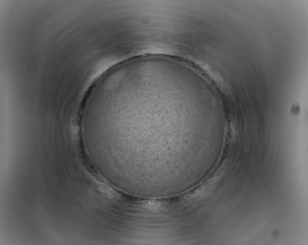 X0000101091266200807101540