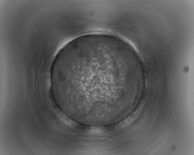 X0000101091267200807101540